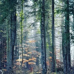 Meet your Posher, Parissa